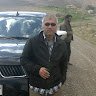 goldturk